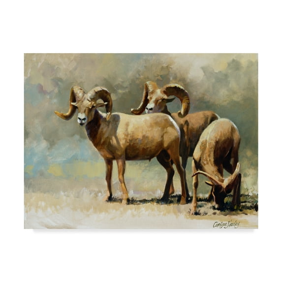 Trademark Fine Art 'Mountain High' Canvas Art by Carolyne Hawley