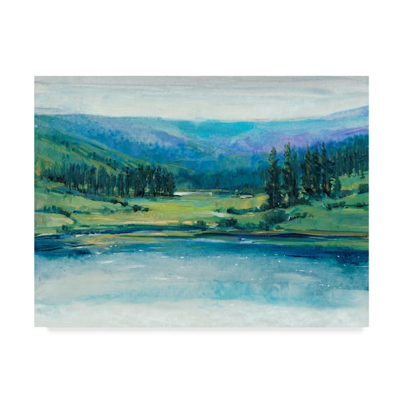 Trademark Fine Art 'Mountain Lake I' Canvas Art by Tim OToole