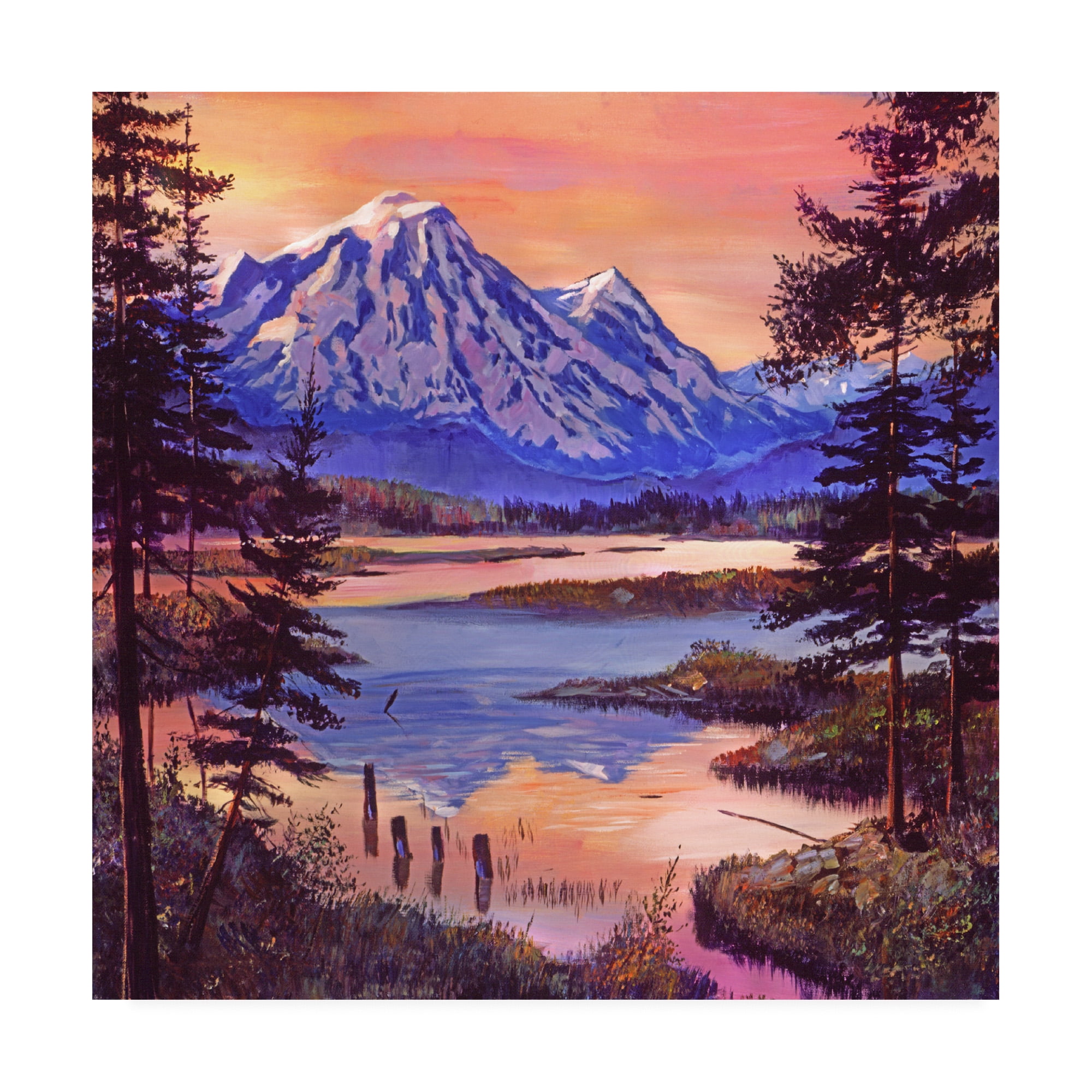 Trademark Fine Art 'Mountain Lakeshore At First Light' Canvas Art by David Lloyd Glover