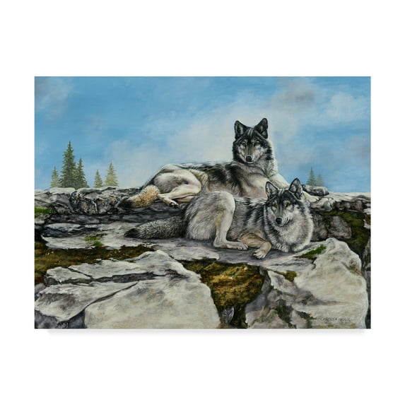 Trademark Fine Art 'Mountain Morning' Canvas Art by Carolyn Mock