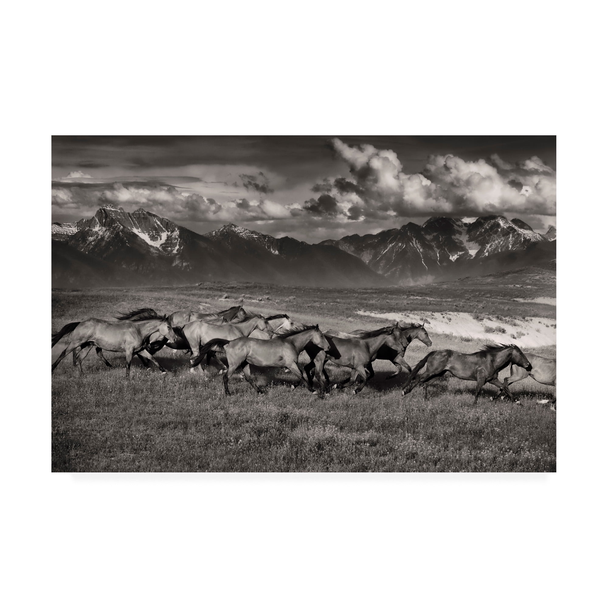 Trademark Fine Art 'Mountain Range Mavericks' Canvas Art by Lisa Dearin