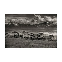 Trademark Fine Art 'Mountain Range Mavericks' Canvas Art by Lisa Dearin