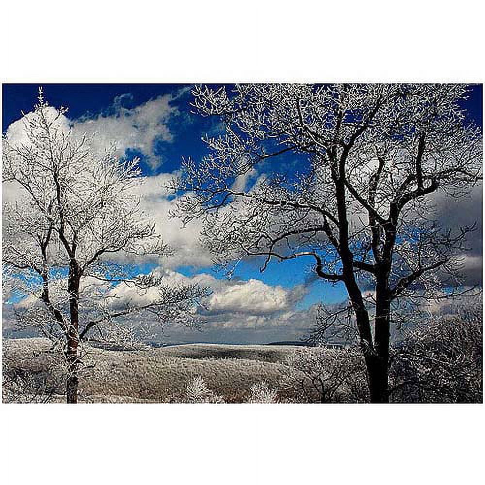 Trademark Fine Art "Mountain View" Canvas Art by Lois Bryan, 16x24
