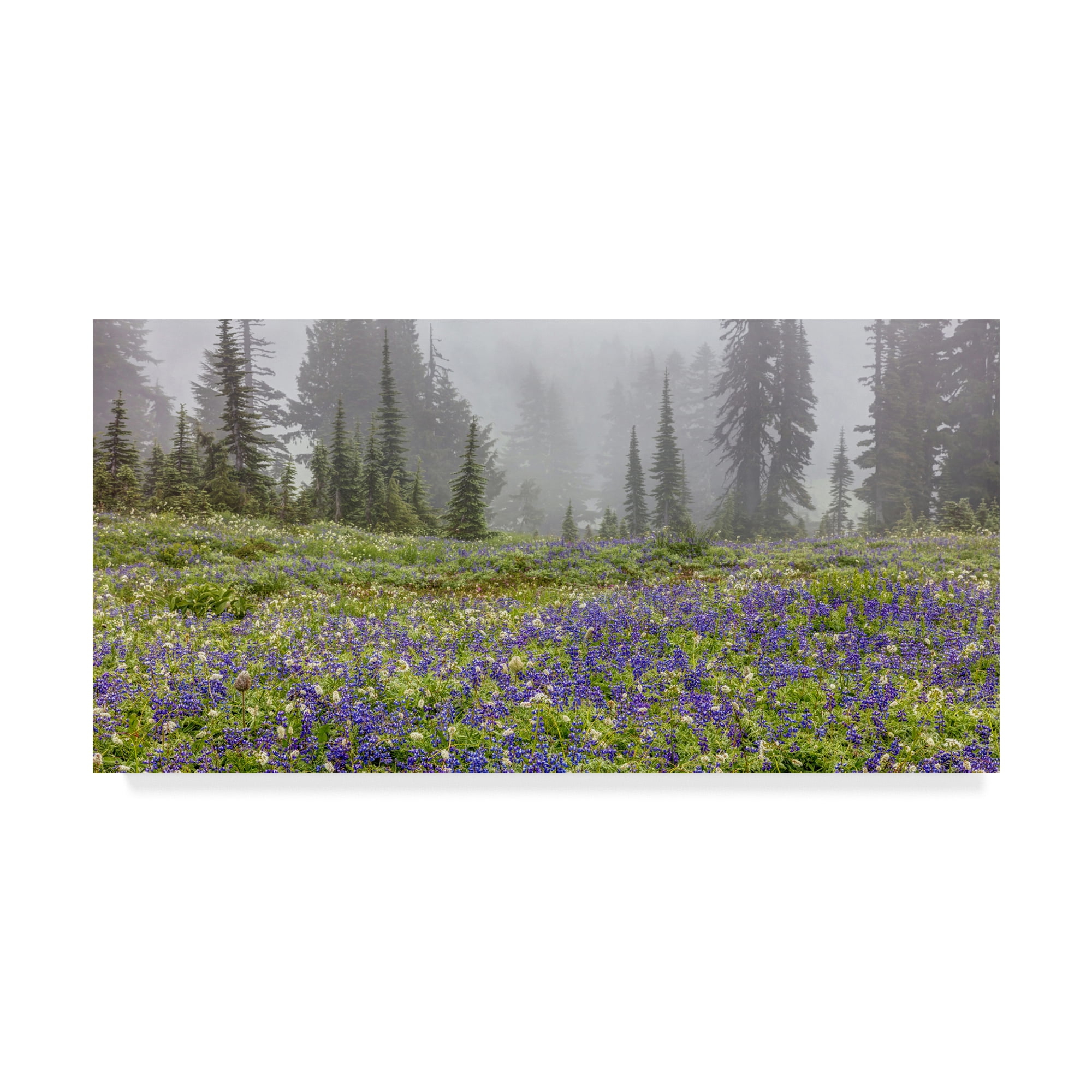 Trademark Fine Art 'Mountain Wildflowers' Canvas Art by Pierre Leclerc