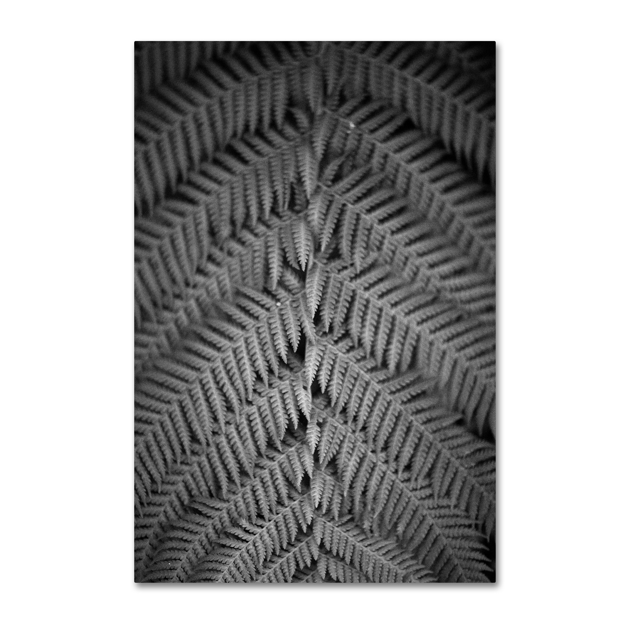 Trademark Fine Art 'Mr Kurtz' Canvas Art by Geoffrey Ansel Agrons