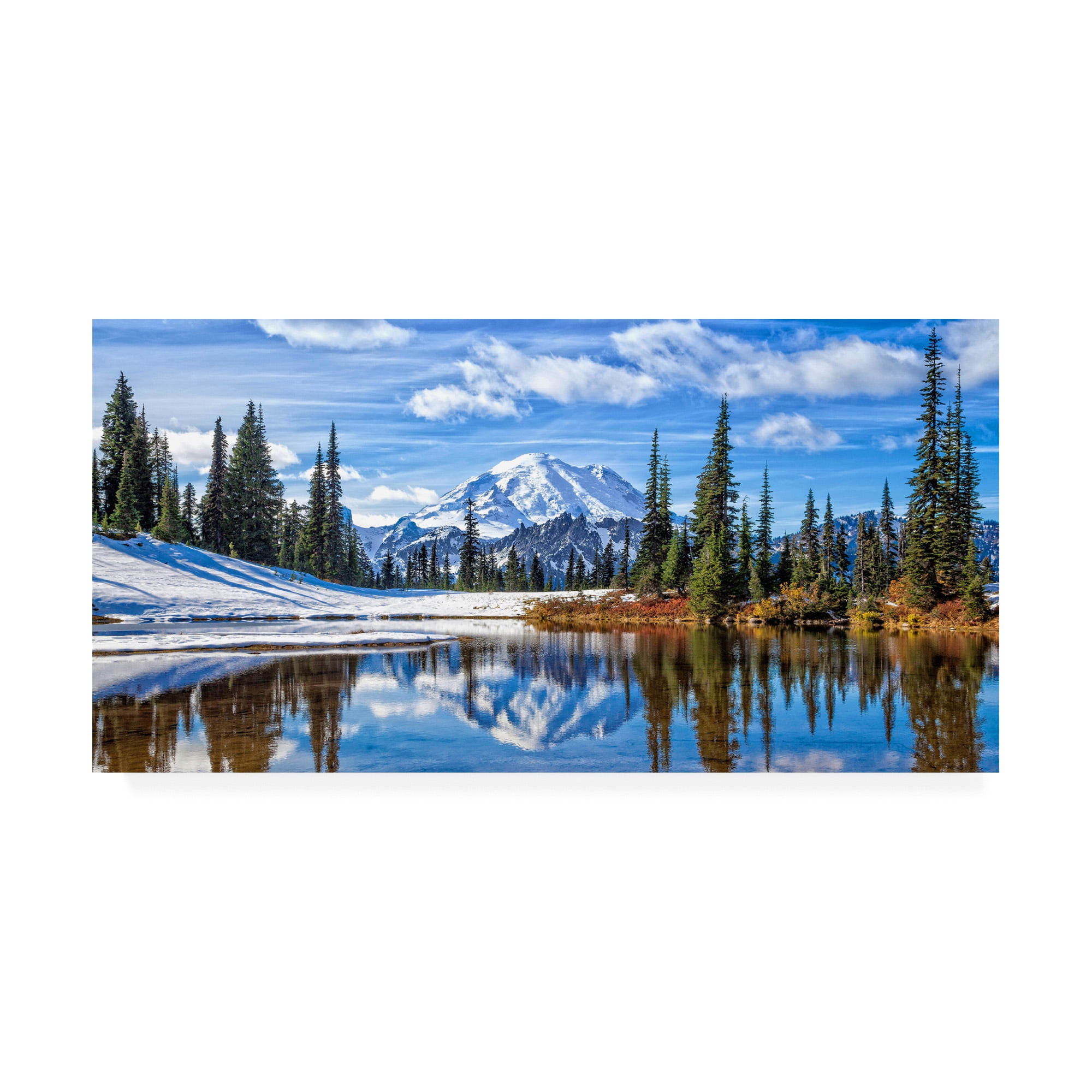 Trademark Fine Art 'Mt. Rainier Vista' Canvas Art by Michael Broo
