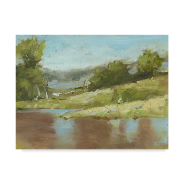 Trademark Fine Art 'Muddy River I' Canvas Art by Ethan Harper