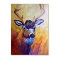 thumbnail image 1 of Trademark Fine Art 'Mule Deer Buck' Canvas Art by Marion Rose, 1 of 3
