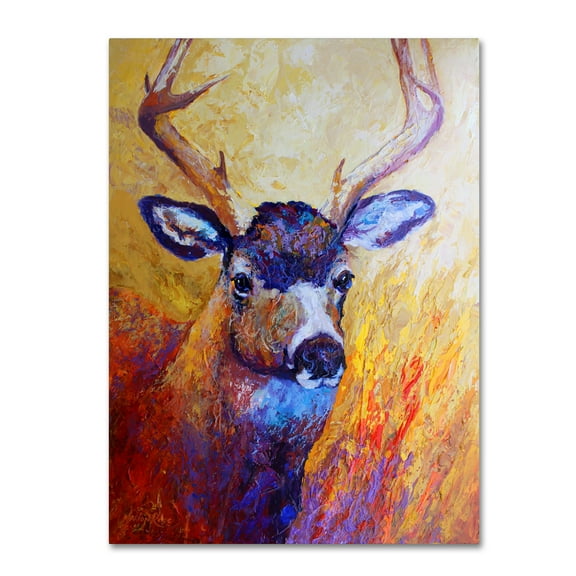 Trademark Fine Art 'Mule Deer Buck' Canvas Art by Marion Rose