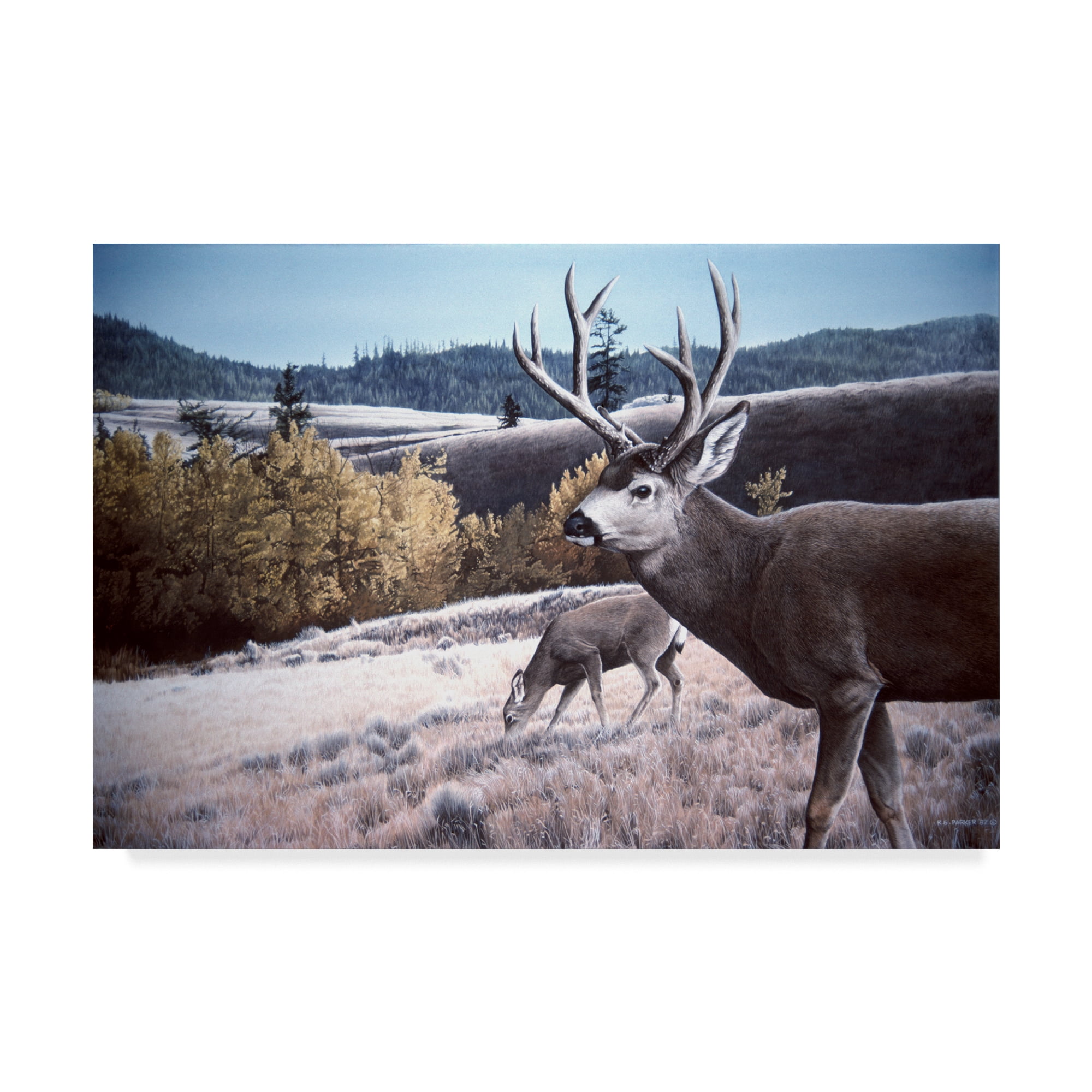Trademark Fine Art 'Mule Deer In Aspen' Canvas Art by Ron Parker
