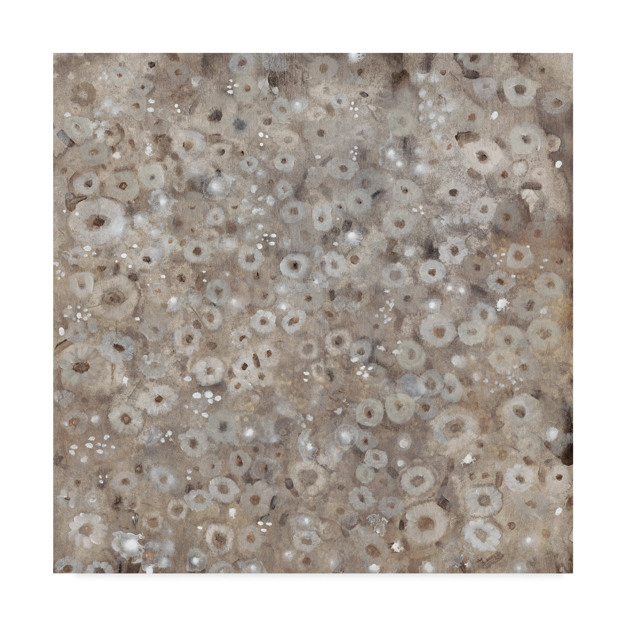 Trademark Fine Art 'Multiplicity I' Canvas Art by Tim OToole