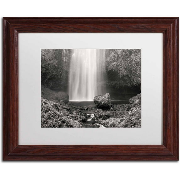 Trademark Fine Art "Multnomah BW" Canvas Art by Pierre Leclerc, White Matte/Wood Frame