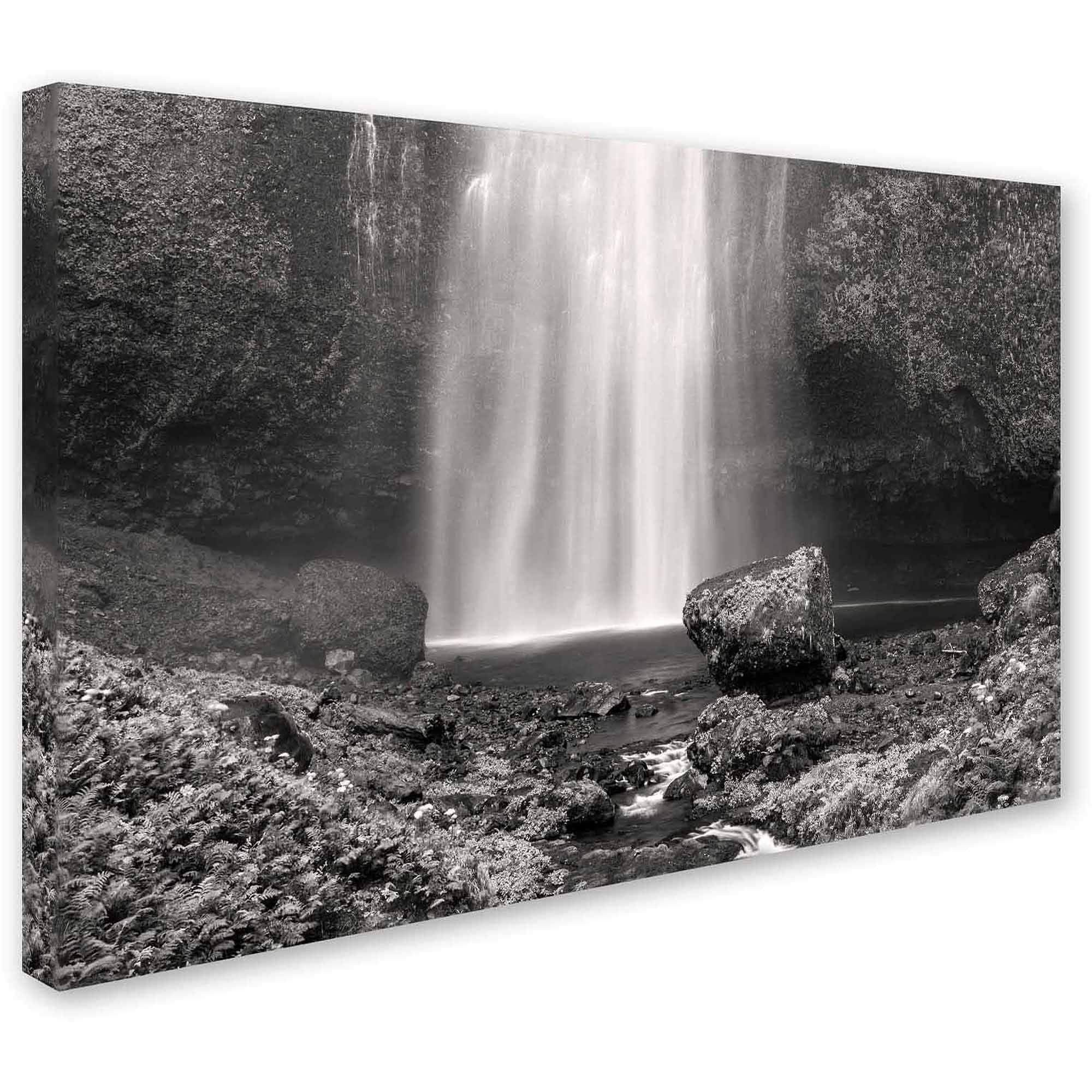 Trademark Fine Art "Multnomah BW" Canvas Art by Pierre Leclerc