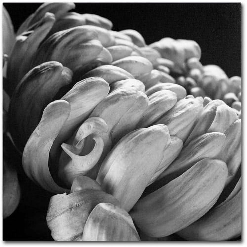 Black and White Floral Canvas Art, 36" x 49"