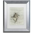 thumbnail image 1 of Trademark Fine Art 'Murex Shell' Canvas Art by Cora Niele, White Matte, Silver Frame, 1 of 1