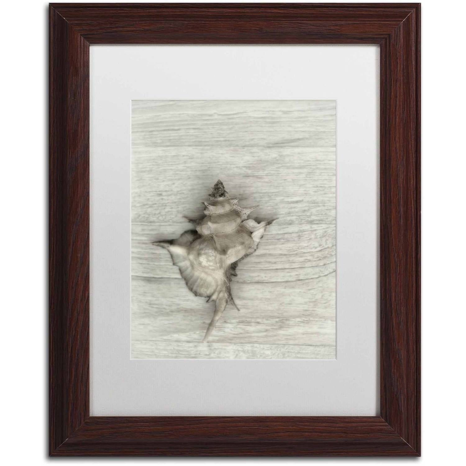 Trademark Fine Art 'Murex Shell' Canvas Art by Cora Niele, White Matte, Wood Frame