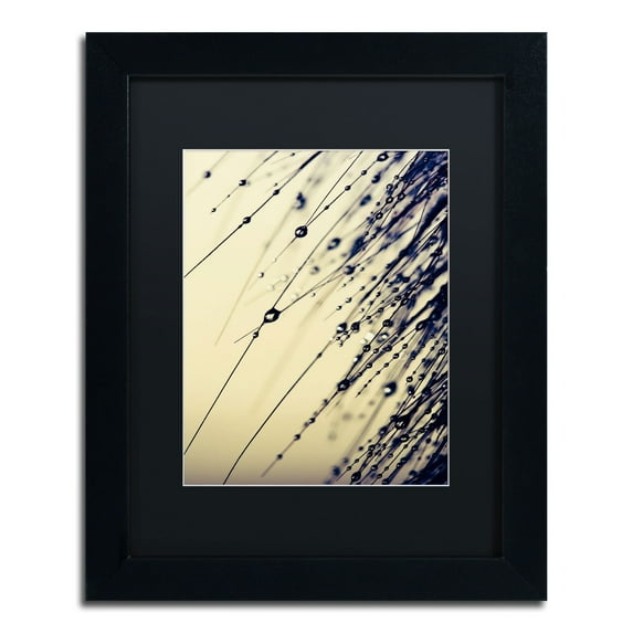 Trademark Fine Art "Music of Yesterday" Canvas Art by Beata Czyzowska Young, Black Matte, Black Frame