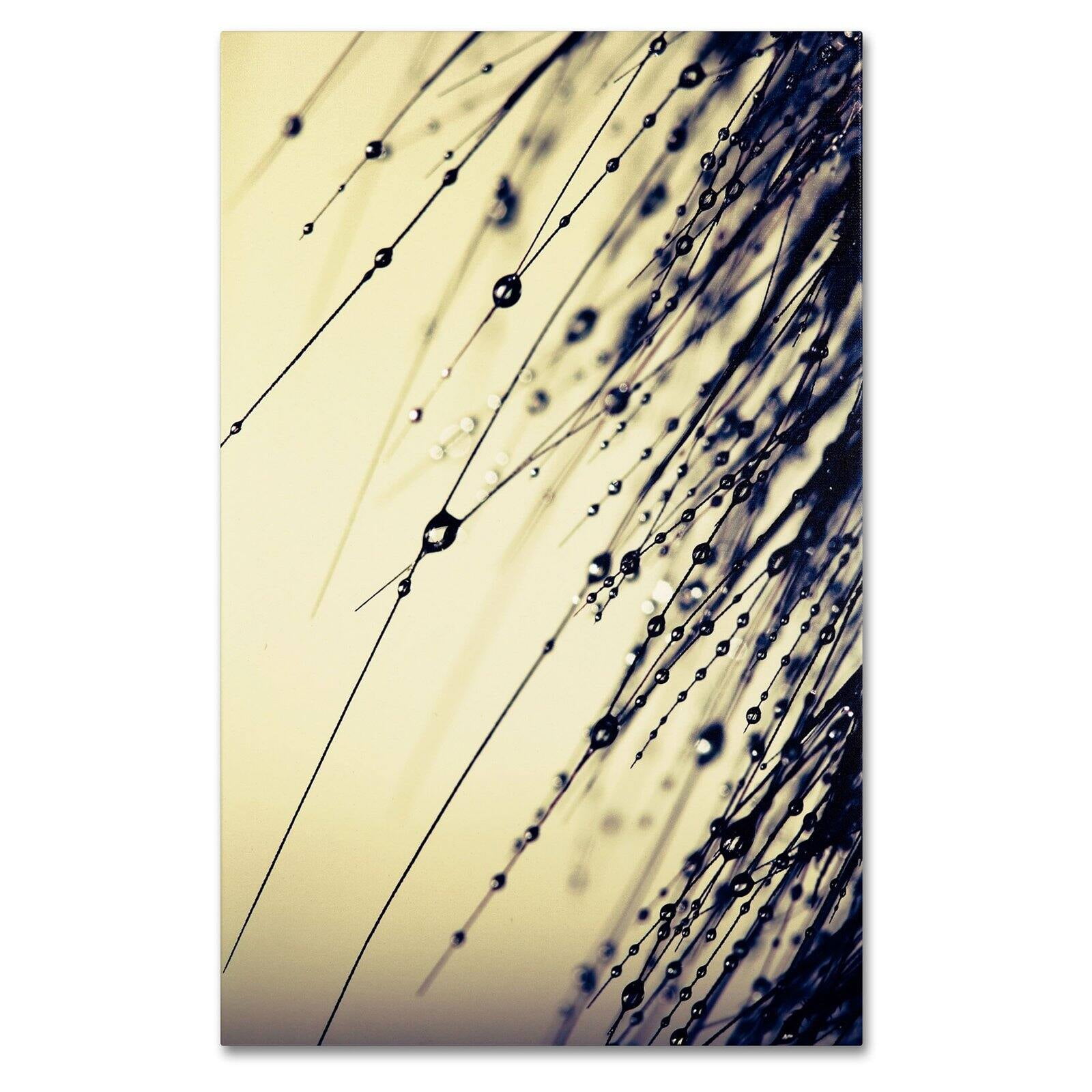 Trademark Fine Art "Music of Yesterday" Canvas Art by Beata Czyzowska Young
