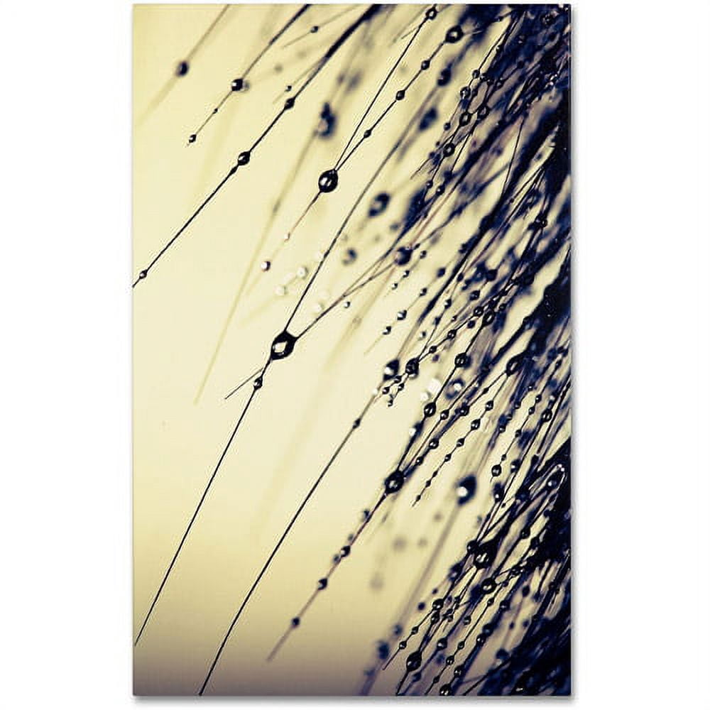 Trademark Fine Art "Music of Yesterday" Canvas Art by Beata Czyzowska Young
