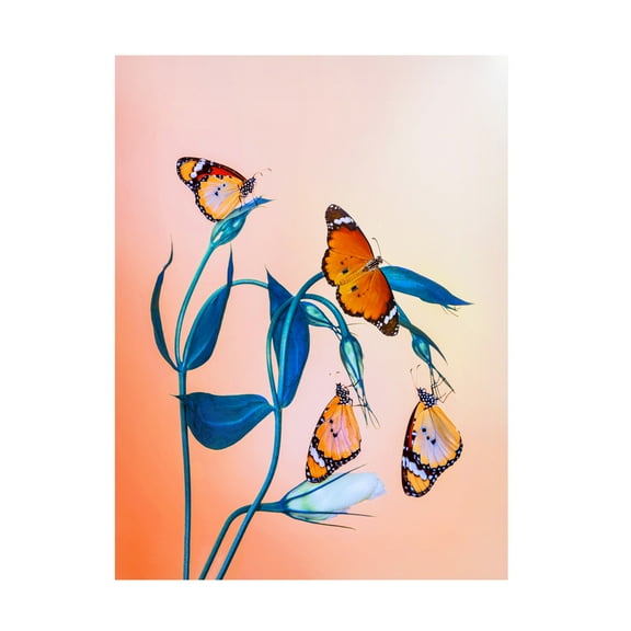 Trademark Fine Art Mustafa ozturk Family Canvas Wall Art