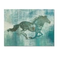 thumbnail image 1 of Trademark Fine Art 'Mustang Study' Canvas Art by Studio Mousseau, 1 of 3