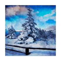Trademark Fine Art 'My Beautiful Fir Tree' Canvas Art by Philippe Sainte-Laudy