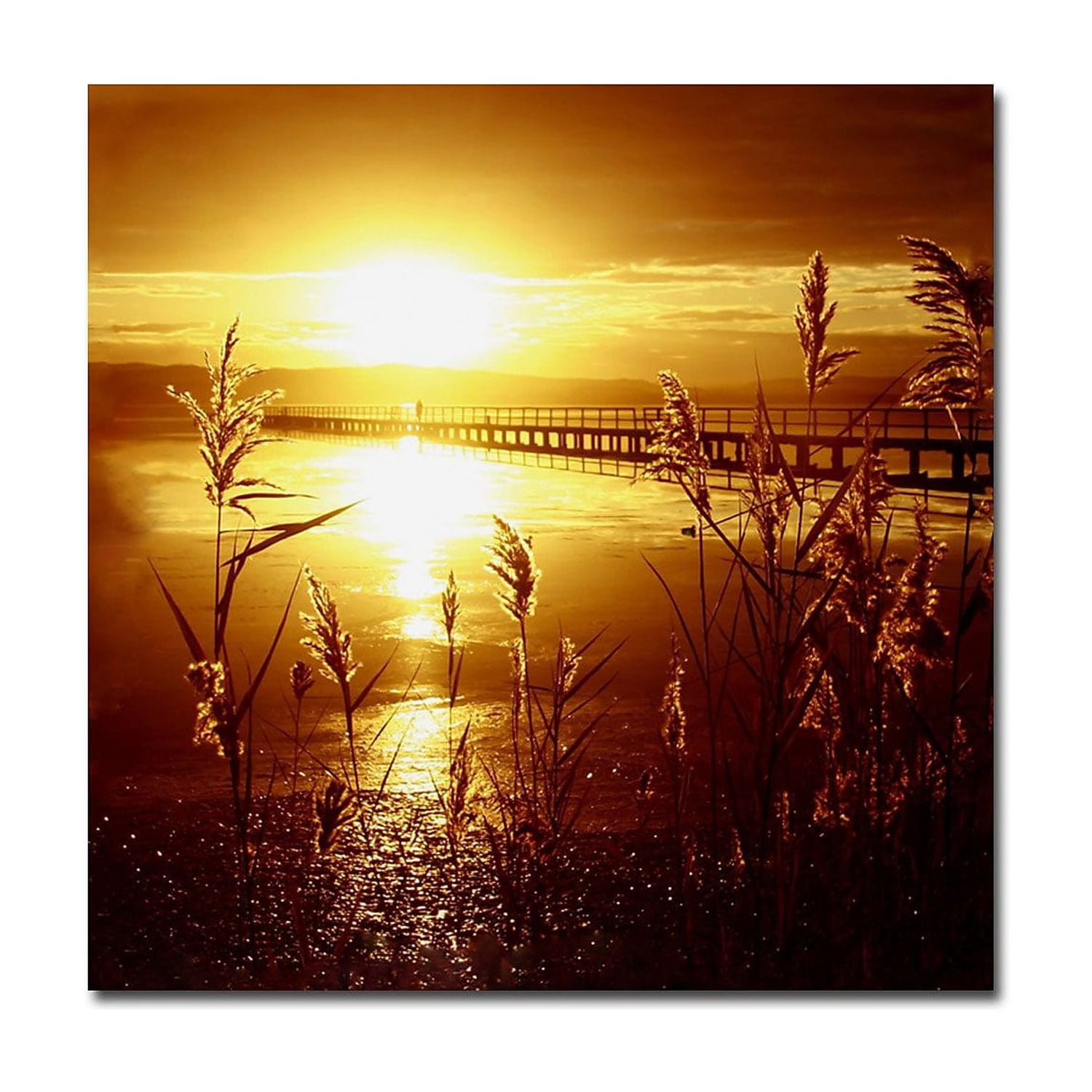 Golden Sunset Photography on Canvas with Frame, 35" x 35"