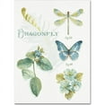 thumbnail image 1 of Trademark Fine Art "My Greenhouse Botanical II" Canvas Art by Lisa Audit, 1 of 3