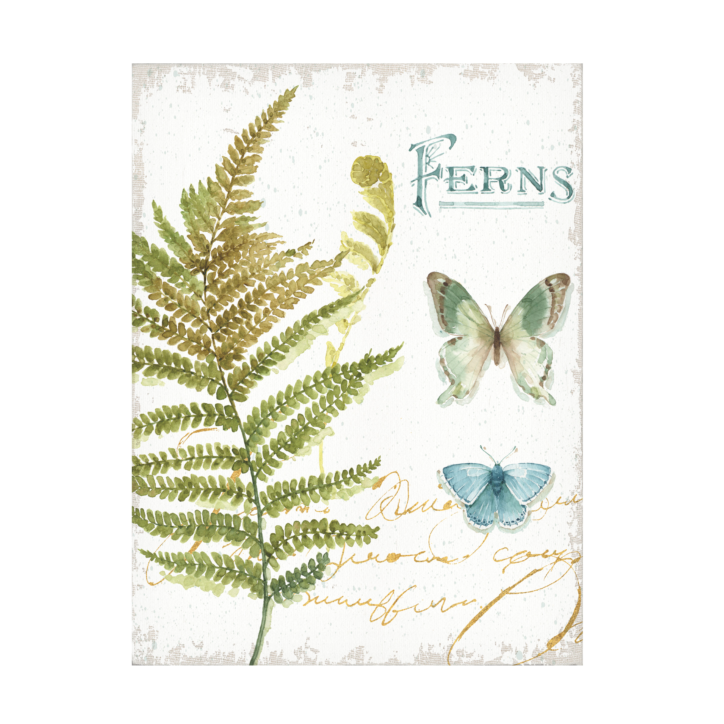 Trademark Fine Art "My Greenhouse Botanical III" Canvas Art by Lisa Audit