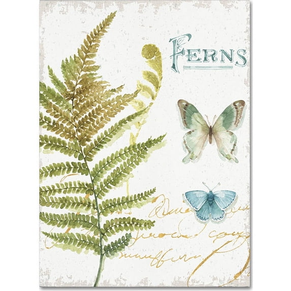 Trademark Fine Art "My Greenhouse Botanical III" Canvas Art by Lisa Audit