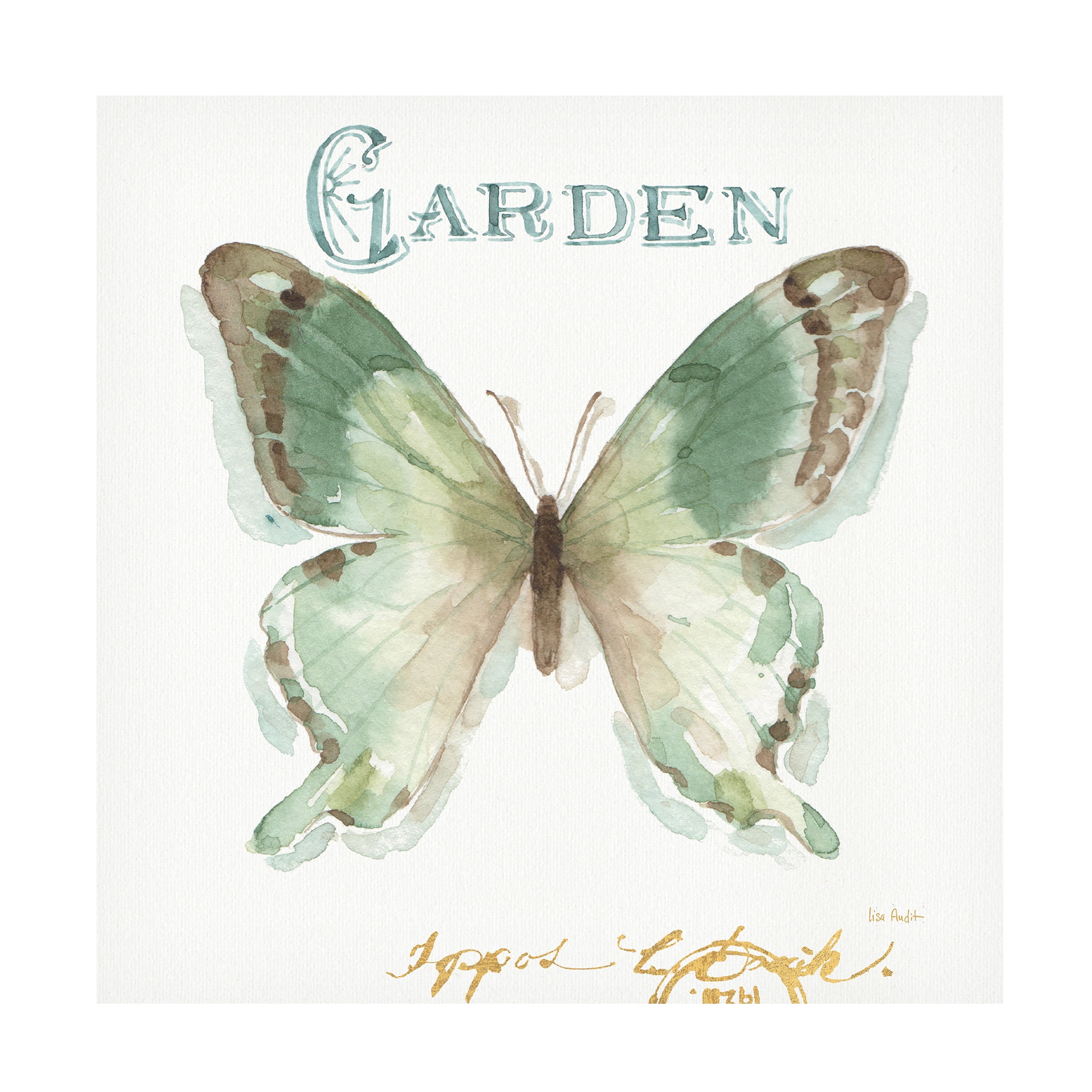 Trademark Fine Art "My Greenhouse Butterflies III" Canvas Art by Lisa Audit