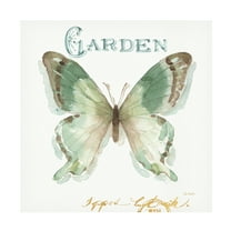 Trademark Fine Art "My Greenhouse Butterflies III" Canvas Art by Lisa Audit