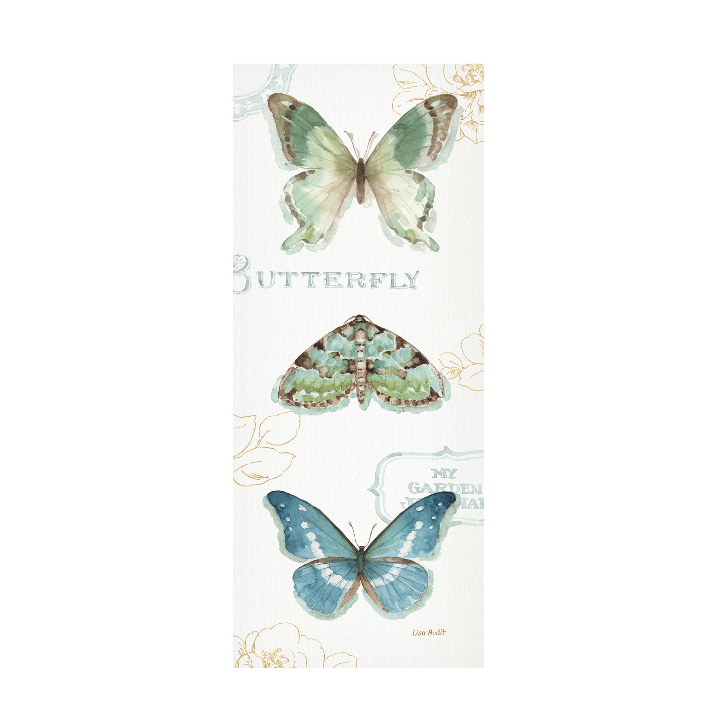 Trademark Fine Art "My Greenhouse Butterflies VI" Canvas Art by Lisa Audit