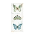 thumbnail image 1 of Trademark Fine Art "My Greenhouse Butterflies VI" Canvas Art by Lisa Audit, 1 of 4