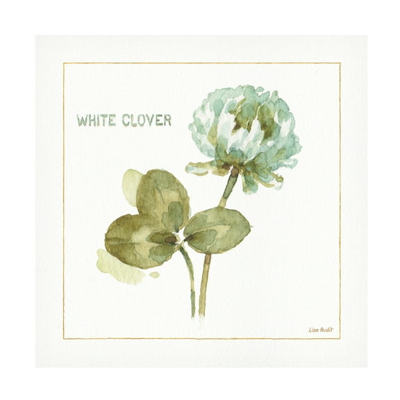 Trademark Fine Art "My Greenhouse Clover" Canvas Art by Lisa Audit