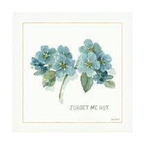 Trademark Fine Art "My Greenhouse Forget Me Not" Canvas Art by Lisa Audit