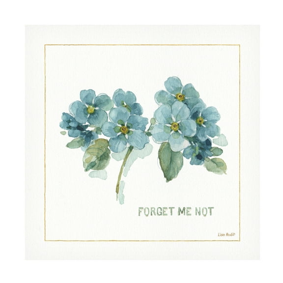 Trademark Fine Art "My Greenhouse Forget Me Not" Canvas Art by Lisa Audit