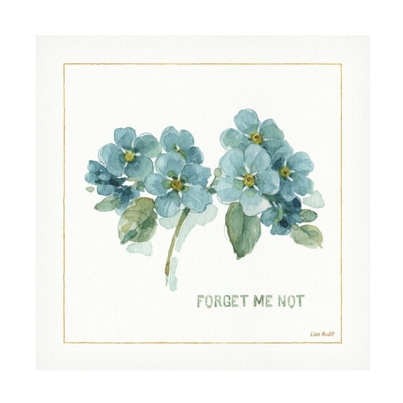 Trademark Fine Art "My Greenhouse Forget Me Not" Canvas Art by Lisa Audit