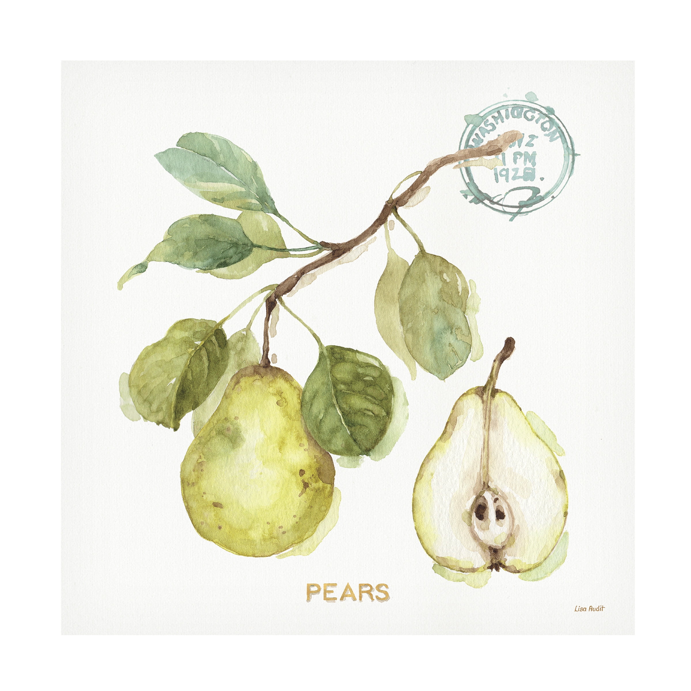 Trademark Fine Art "My Greenhouse Fruit I" Canvas Art by Lisa Audit