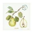 thumbnail image 1 of Trademark Fine Art "My Greenhouse Fruit I" Canvas Art by Lisa Audit, 1 of 4