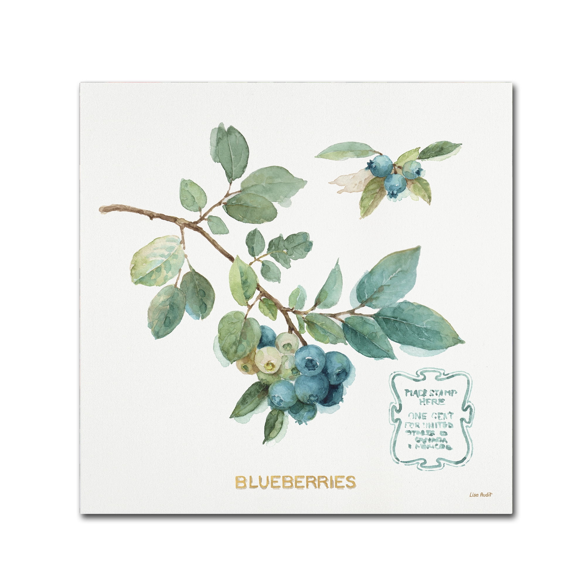 Trademark Fine Art "My Greenhouse Fruit II" Canvas Art by Lisa Audit
