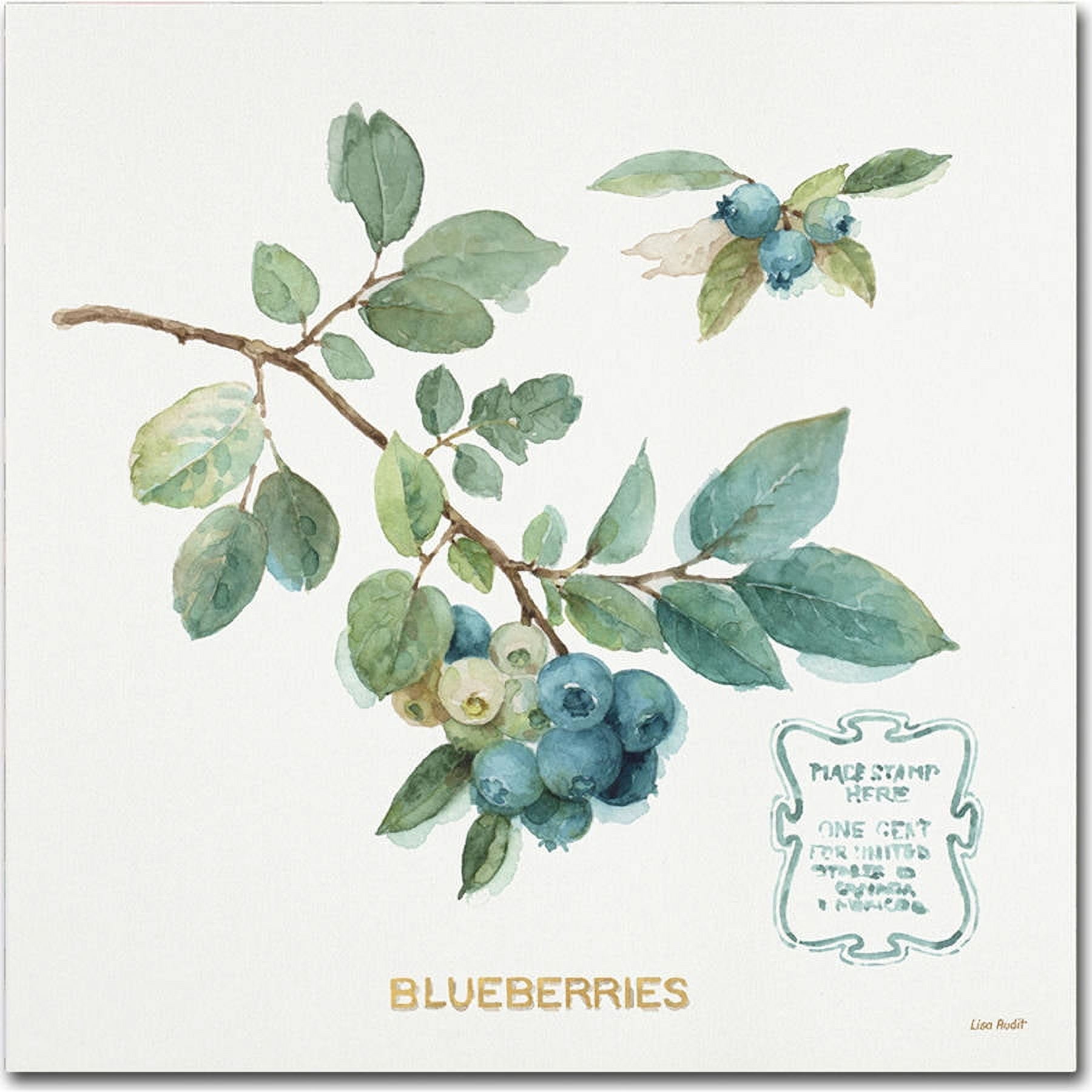 Trademark Fine Art "My Greenhouse Fruit II" Canvas Art by Lisa Audit