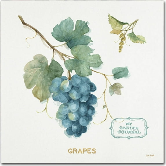 Trademark Fine Art "My Greenhouse Fruit III" Canvas Art by Lisa Audit