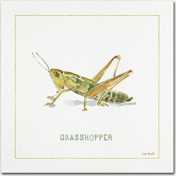 Trademark Fine Art "My Greenhouse Grasshopper" Canvas Art by Lisa Audit