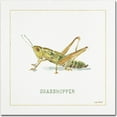 thumbnail image 1 of Trademark Fine Art "My Greenhouse Grasshopper" Canvas Art by Lisa Audit, 1 of 3