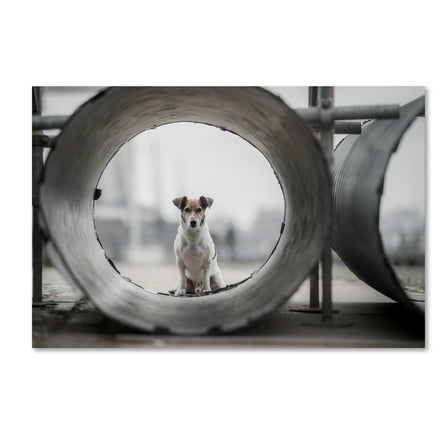 Trademark Fine Art 'My Name Is Bond' Canvas Art by Heike Willers