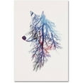 thumbnail image 1 of Trademark Fine Art 'My Roots' Canvas Art by Robert Farkas, 1 of 3