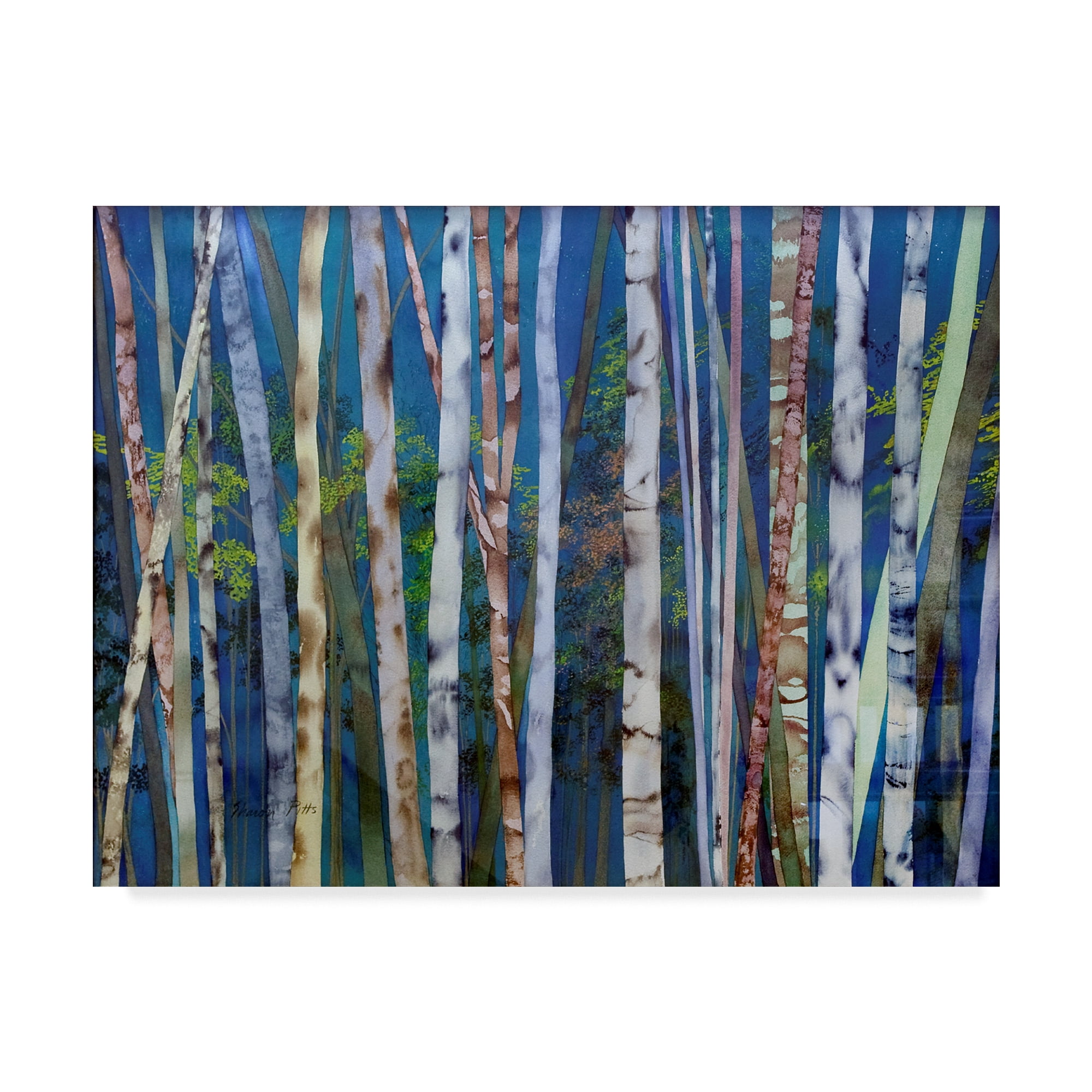 Trademark Fine Art 'Mystery Of Trees Birches' Canvas Art by Sharon Pitts