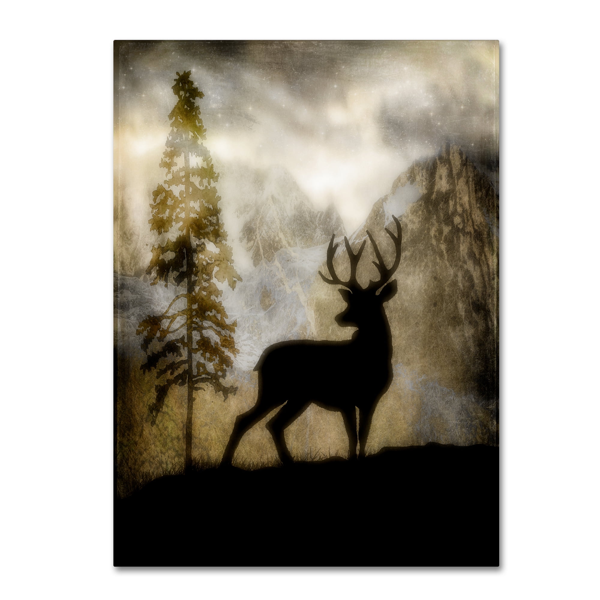 Mystic Deer Portrait Canvas Wall Art with Floater Frame