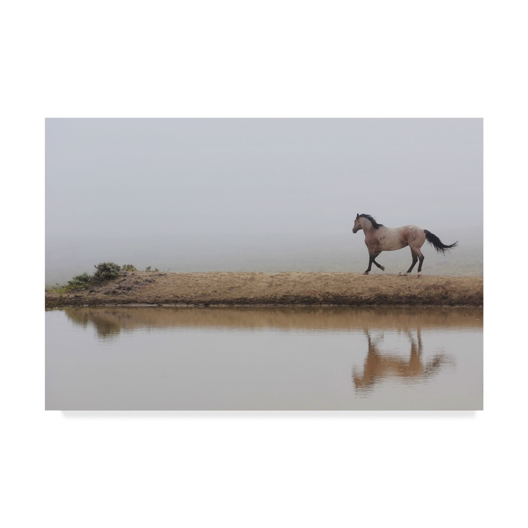 Trademark Fine Art 'Mystical Beauty' Canvas Art by Amanda Smith